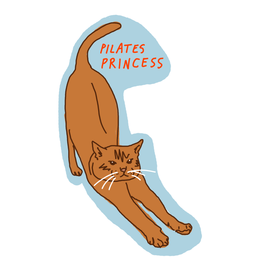 Pilates Princess Sticker