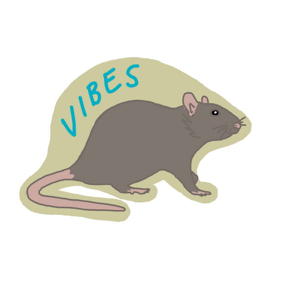 Rat Sticker