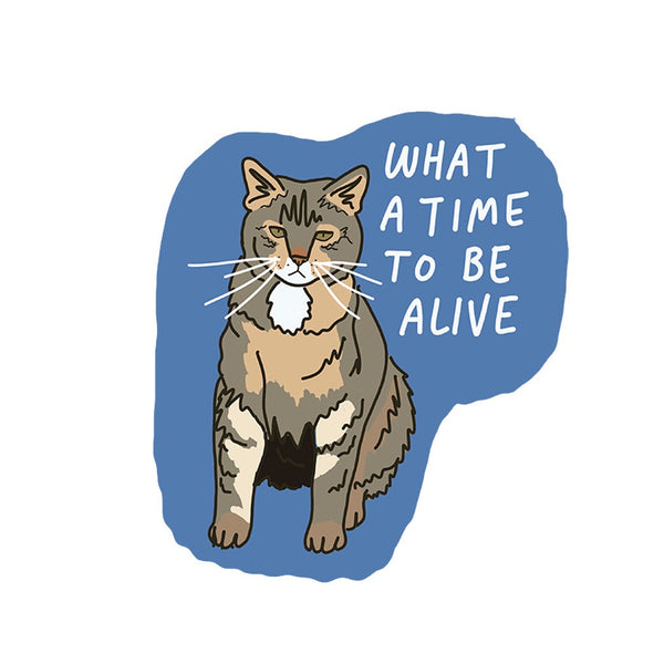 Illustration of a cat with a blue speech bubble containing text on a white background