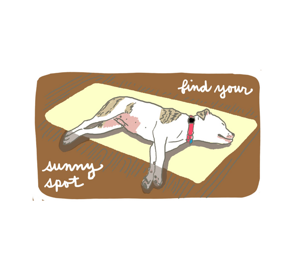 Illustration of a dog lying on a mat with 'find your sunny spot' text